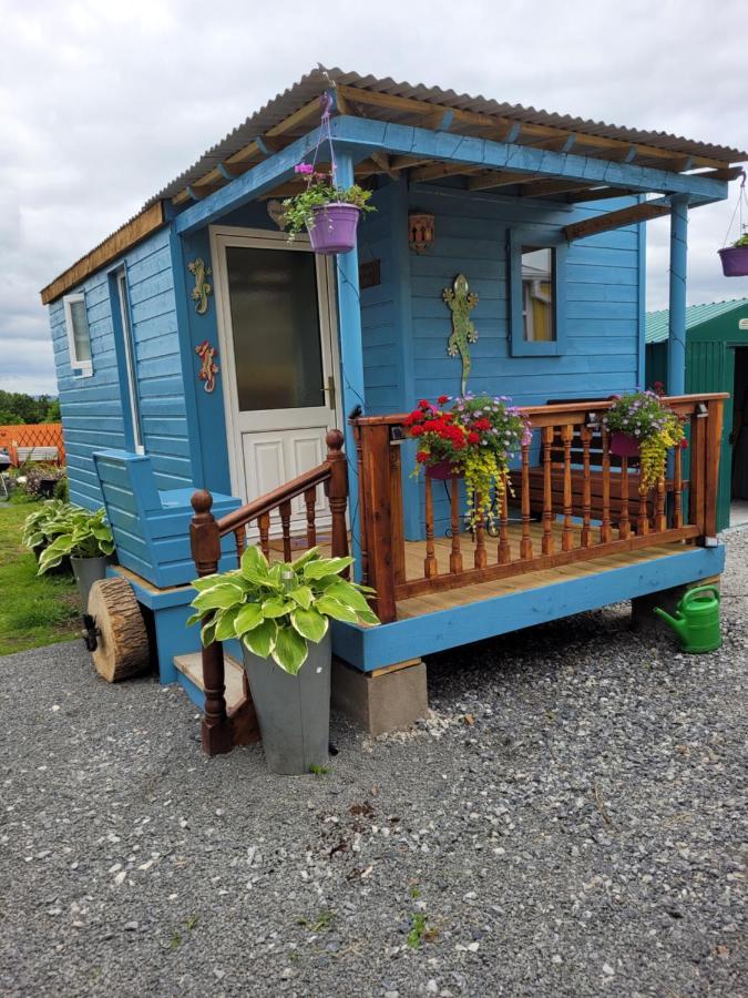Wedger's Hut Hotel Nenagh Eksteriør billede