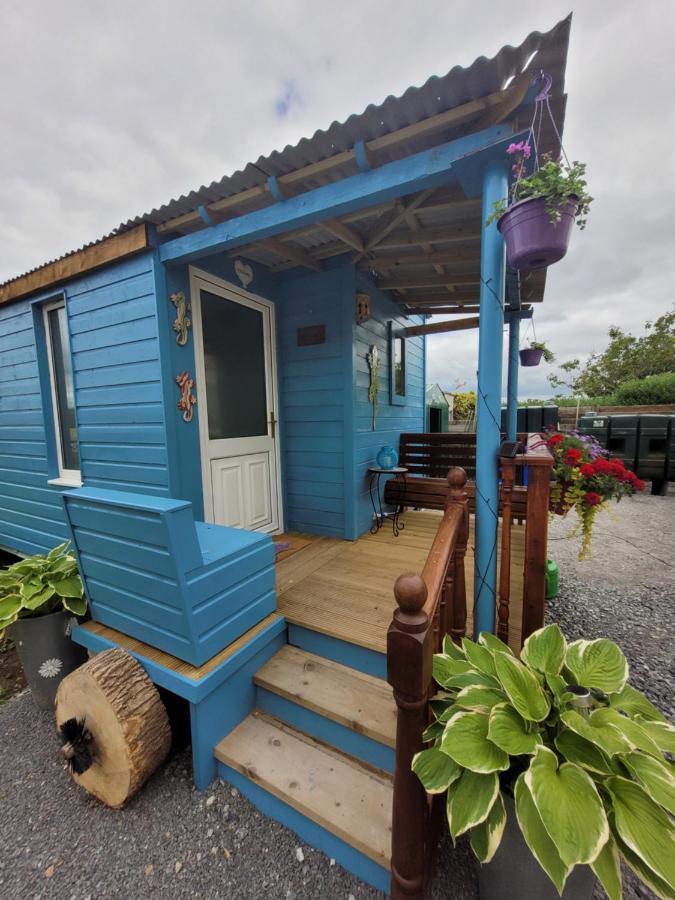 Wedger's Hut Hotel Nenagh Eksteriør billede